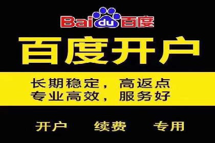 行业巨头的SEM广告投放策略揭秘